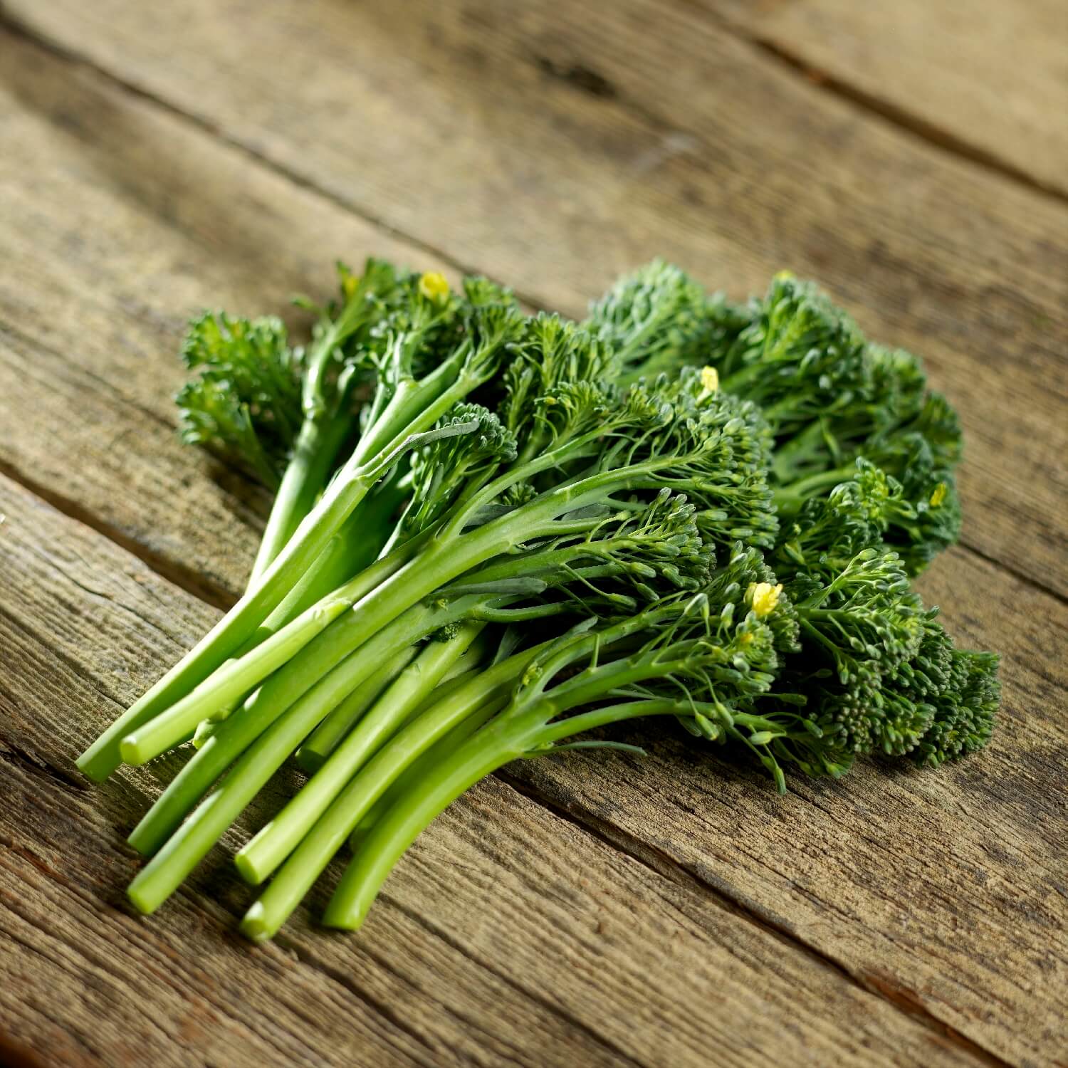 Broccolini Product Shot